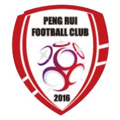 北京鹏瑞通程